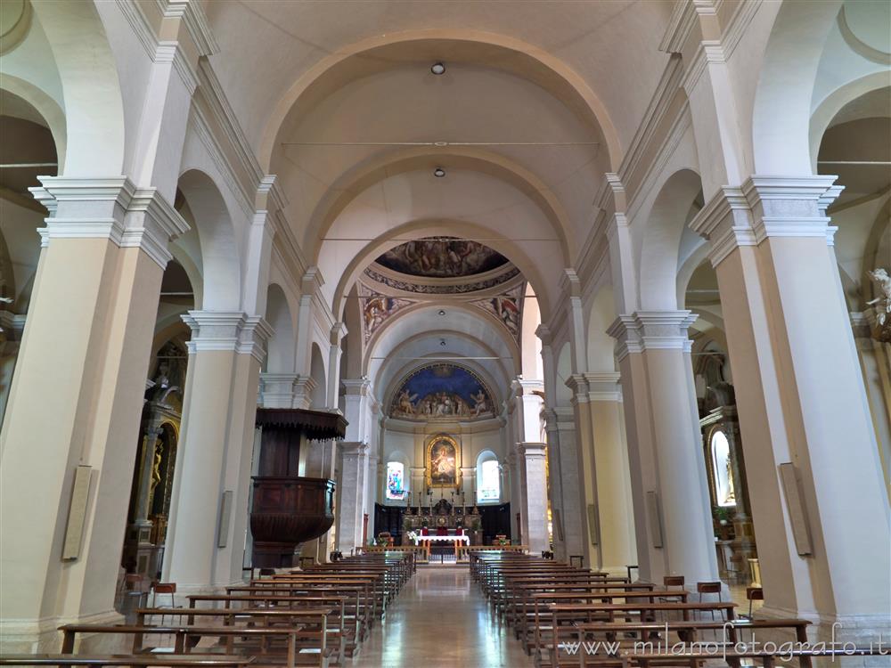Fano (Pesaro e Urbino, Italy) - Interior of the Church of St. Paternianus